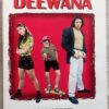 Tera Deewana Hindi Audio Cassettes (2)