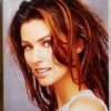 Shania Twain Come On Over Audio Cassettes (2)