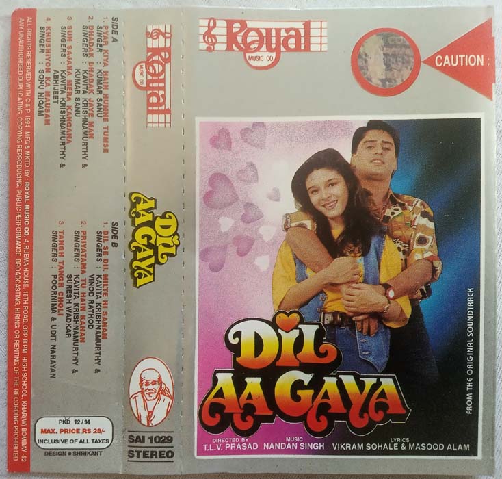 Dil Aa Gaya Hindi Audio Cassette By Nandan Singh