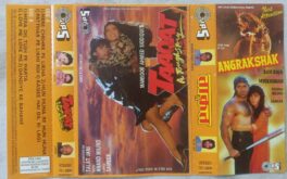 Taaqat Hindi Audio Cassette By Anand Milind