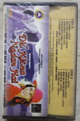 Le Le Maza Pop Songs Hindi Audio Cassette (Sealed)