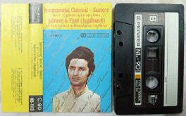 Instrumental Classical-Santoor and Flute Jugalbandi Hindi Movie Songs By Shivkumar Sharma