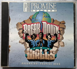 Break down the walls Audio cd