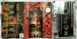 Piya Bavari Hindi Audio Cassette