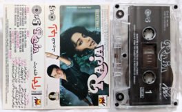 Raja Hindi Audio Cassette