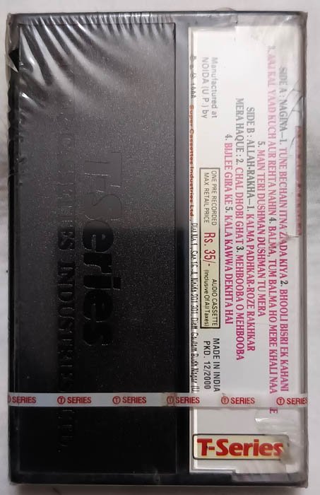 Nagina - Mera Haque Hindi Audio Cassette