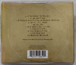 Bon Jovi Burning Bridges Audio cd