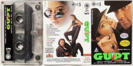 Gupt Hindi Audio Cassette By Viju Shah