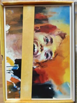 Taare Zameen Par Hindi Movie Dvd