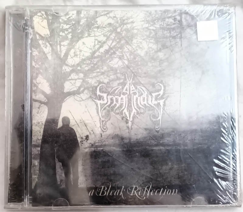 A Bleak Reflection English Audio Cd