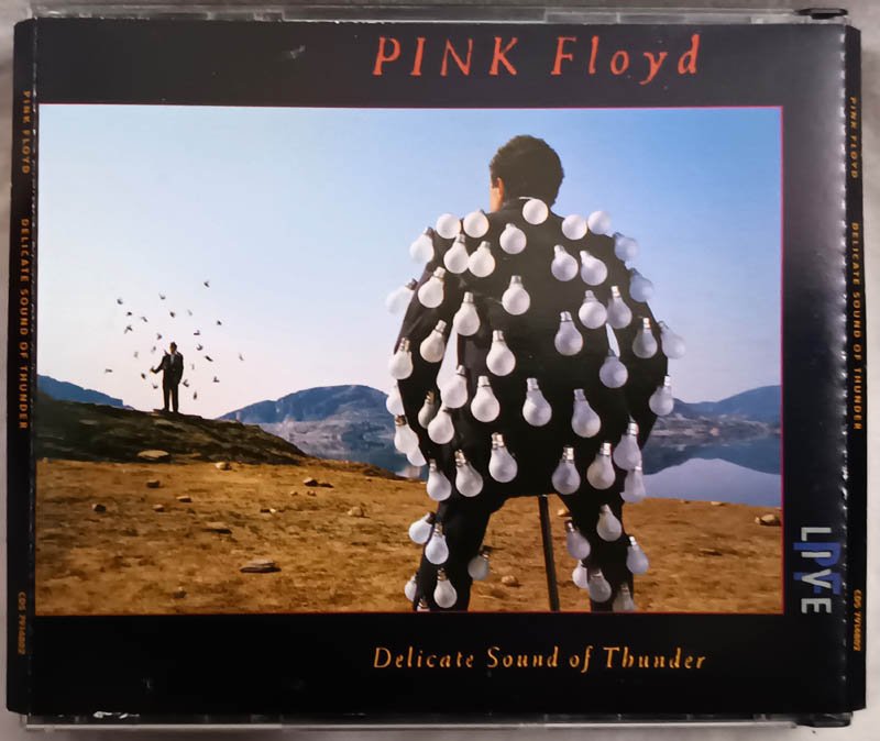 Pink Floyd Delicate Sound of Thunder English Audio Cd
